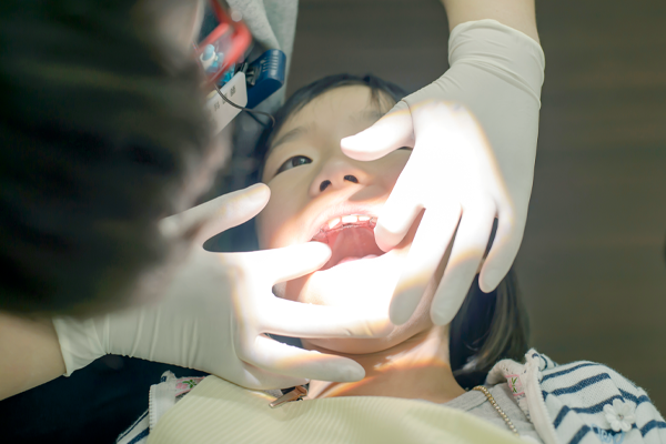 <br />
<b>Warning</b>:  include( inc/area.inc): Failed to open stream: No such file or directory in <b>/home/artblue108x/kanamachi-dental.com/public_html/ortho.html</b> on line <b>252</b><br />
<br />
<b>Warning</b>:  include(): Failed opening ' inc/area.inc' for inclusion (include_path='.:/opt/php-8.3.36/data/pear') in <b>/home/artblue108x/kanamachi-dental.com/public_html/ortho.html</b> on line <b>252</b><br />
・
                      かなまち矯正歯科クリニック